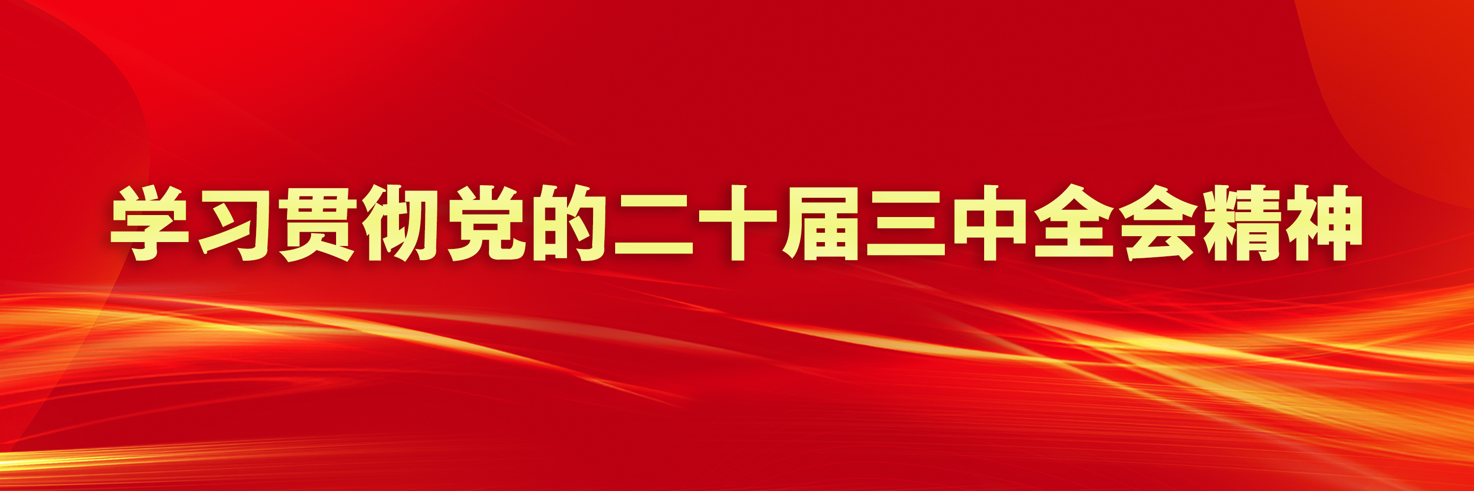 学习贯彻党的二十届三中全会精神